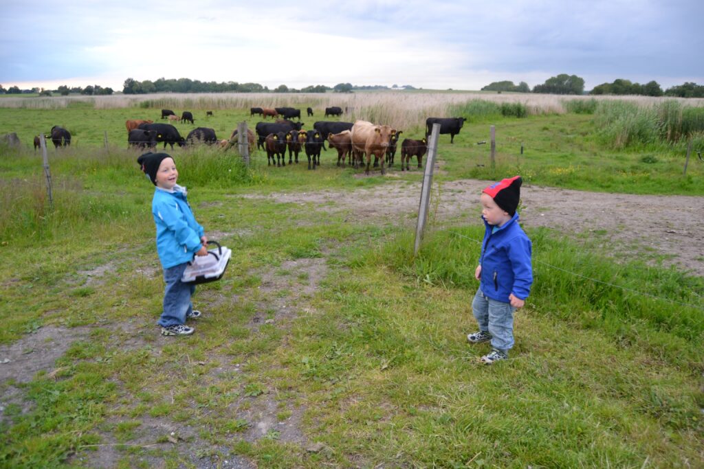 Aksel og Laurtiz